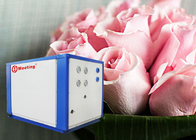 Chinese professional manufacturer OEM energy-saving air-water heat pump cooler heat pump